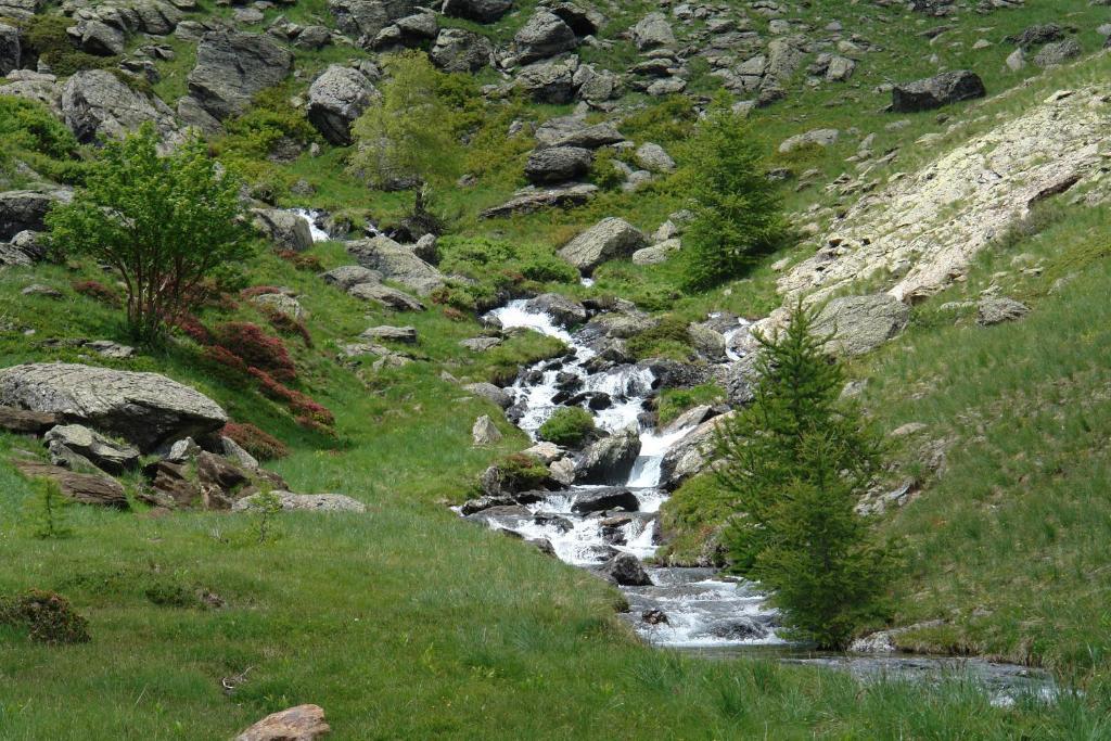 Le Relais Des Vaudois Otel Freissinieres Dış mekan fotoğraf