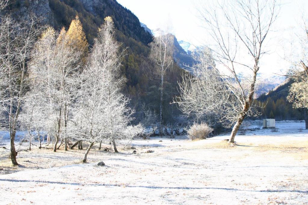 Le Relais Des Vaudois Otel Freissinieres Dış mekan fotoğraf